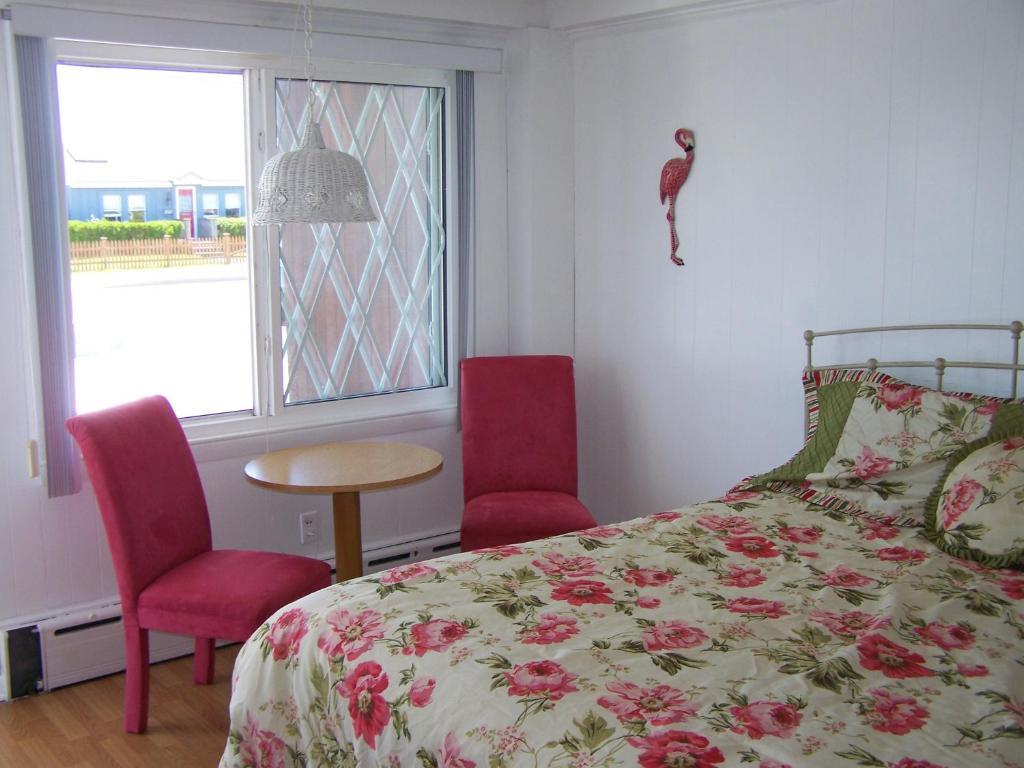 Sea Drift Motel Old Orchard Beach Rum bild